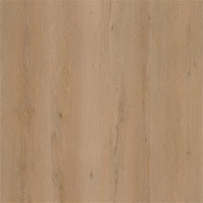 Dryback PVC warm oak 6096182519
