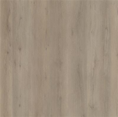 Silent Rigid Click PVC light oak 6197282019