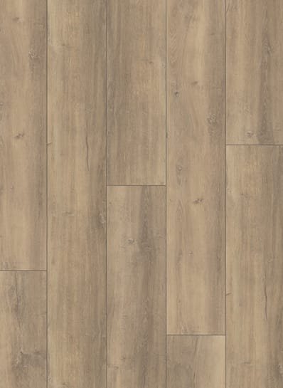 City 4603 Dryback Pluto Light